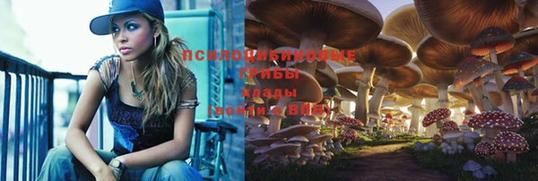 трава Абинск