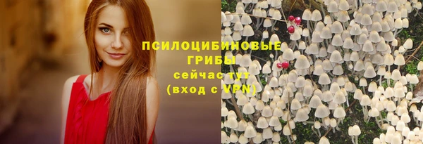 трава Абинск