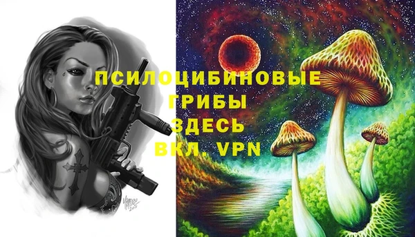 мет Абаза